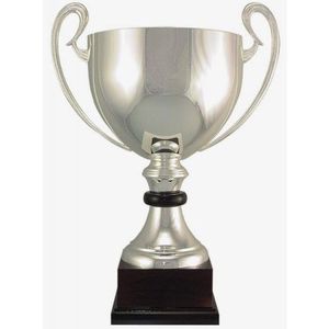 Atractivo trofeo de metal de diseñador con tallado especial ideal para espectáculos culturales, concursos literarios y exposiciones - Product Image 5