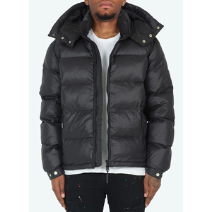 Vestes d'hiver pour hommes Vêtements d'extérieur pour hommes Streetwear Veste en duvet de marque de créateur de haute qualité pour hommes - Product Image 1