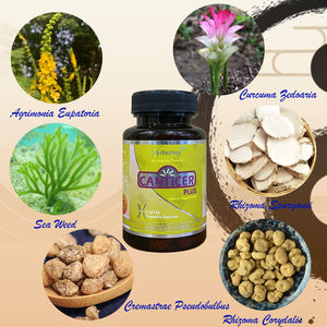 100% Supplément à base de plantes naturelles CANTICERPLUS 12 + ans de confiance Formule basée sur la MTC - Product Image 2