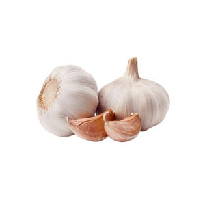 Ajo pelado fresco de la mejor calidad del proveedor al por mayor a buen precio - Product Image 1