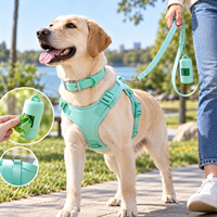 Colliers et laisses pour animaux de compagnie en PVC réglables et imperméables, collier de luxe pour chien, harnais pour chien personnalisés
