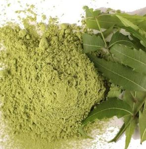 Poudre d'extrait de Neem organique de haute qualité 100% extrait de solvant certifié OEM étiquetage privé supplément de production en vrac - Product Image 1