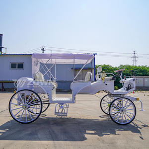 Transportador personal eléctrico blanco puro, carruaje tirado por caballos Vintage para vehículo de transporte especial Park Ride - Product Image 5