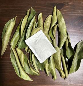 Directo desde la granja: hojas frescas de Guanábana - Product Image 3