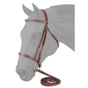 Brida con acolchado Brida marrón de tamaño completo Tubería de gasolina Obstáculos equinos de alta calidad Productos para caballos - Product Image 1