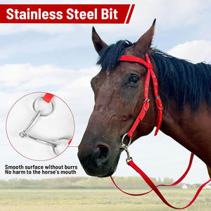 Customization Logo Low Price Horse Riding Bridles Solid Material <b>Top</b> Selling Horse Riding Bridles - Product Image 2