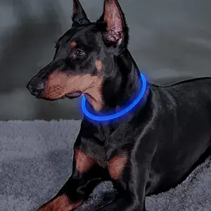 Collar Led luminoso para perro, luz Led, recargable vía USB, resistente al agua, venta al por mayor