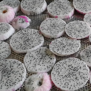 Goût délicieux fruit du dragon rouge séché doux fabriqué au Vietnam Pitaya tranché de haute qualité en vrac prix de gros - Product Image 1