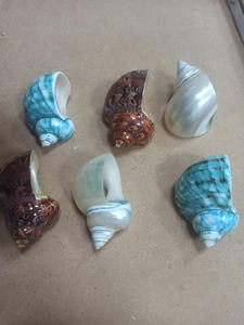 Conchas de concha de nácar pulidas para manualidades o decoración artística, hermosos diseños a buenos precios de Vietnam - Product Image 6