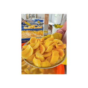 Tranches de mangue congelées du Vietnam de couleur dorée et de goût sucré produites avec une méthode IQF avancée assurant une fraîcheur maximale - Product Image 5