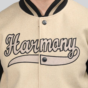 Veste de baseball à capuche pour homme de haute qualité avec logo sur le devant Broderie personnalisée Couleur et taille personnalisées Respirant - Product Image 6