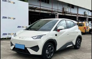 BYD Seagull AR 2026 USADO EN EXCELENTES CONDICIONES - Product Image 2