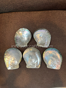 สินค้าขายดี จานมุกทรงกลม แม่ของจานมุก จานซับคาเวียร์ เหมาะสําหรับเสิร์ฟคาเวียร์ระดับพรีเมียม - Product Image 5