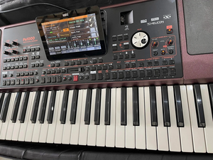 Producto Electrónico Korg PA1000 Profesional con Pantalla, Altavoces, Teclado, Arreglador Profesional de Calidad PA1000 - Product Image 6