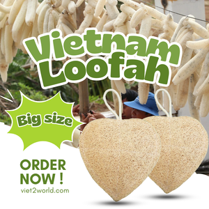 Esponja de lufa en forma de corazón de alta calidad, limpieza de cocina y lavavajillas, cepillos de baño, depuradores directos de Vietnam - Product Image 1