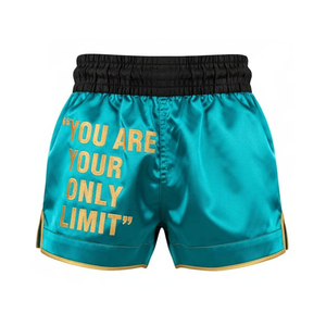 <b>Elastic</b> <b>Waistband</b> Stretch Muay Thai Shorts Secure Fit Satin Boxing Training Trunks Professional MMA Kickboxing Unisex - Product Image 1