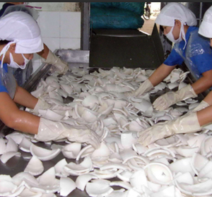 Viande de noix de coco jeune congelée/goût tropical, emballage OEM, exportation en vrac/meilleure vente du fournisseur vietnamien - Product Image 2