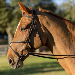 Venta al por mayor Brida de caballo pedido a granel FABRICANTE DE Brida de caballo CABALLO BRIDLE DE JUMPING DE CUERO - Product Image 5