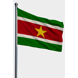 Custom Digital-Printed Suriname Outdoor <b>Flags</b> on Polyester Silk Aluminum <b>Pole</b> <b>for</b> Automotive Insurance Education Travel Agency - Product Image 1
