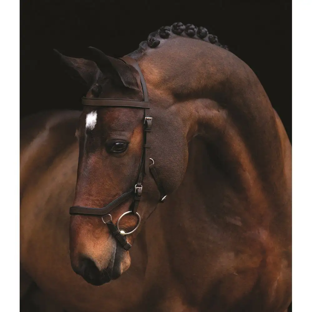 Horseware Rambo Micklem Competition Bridle FEI Approved - Hand finished Leather