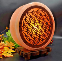 Lampe de sel rose de l'Himalaya 3D sculptée, motif panier de fleurs religieux, coquille polie, décoration d'intérieur, artisanat naturel, réglable