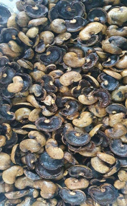 VENTE EN GROS EN VRAC COQUILLES DE NOIX DE CAJOU QUALITÉ NATURELLE DE QUALITÉ SUPÉRIEURE POUR L'EXTRACTION DE L'HUILE PRODUIT D'EXPORTATION HOT DEAL TOP VENTES MEILLEURE OFFRE - Product Image 5