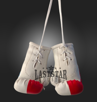 Guantes de Boxeo Mini Personalizados y Duraderos con Diseño de Bandera de País, Llavero Colgante para Auto de Cuero PU, LAST STAR INDUSTRY, Bosnia, Grecia