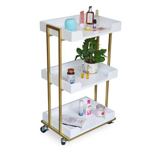 Multi-Application Metal & Plastic <b>Tool</b> Cart for Spa Beauty Salons & Hospitals (35x46.8x82.5cm) - Product Image 1