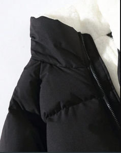 Meilleures ventes, veste matelassée d'hiver à fermeture éclair pour hommes, vestes pour hommes en nylon et polyester avec décoration en fourrure Service OEM - Product Image 5