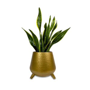 High Quality Metal Flower Stand 2 Tier Indoor Shelf Holder Metal Tall Display Designs Planter Pot Plant Flower Stand Set of 2 - Product Image 1