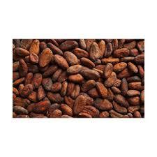 Natural Fermented Cocoa <b>Beans</b> Dried Raw <b>Cacao</b> for Sale Container Load - Product Image 1