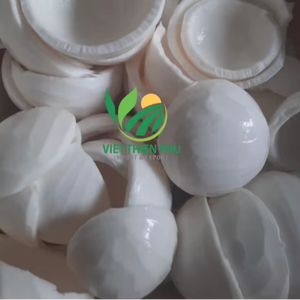 เนื้อมะพร้าวแช่แข็งพรีเมี่ยมจากเวียดนามทำโดยเวียดนาม Thien Phu-ราคาที่ดีที่สุดของเดือน-ผู้จำหน่ายที่ไว้วางใจได้ - Product Image 1