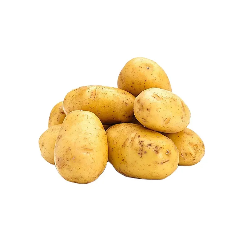 Оптовая продажа гладкого желтого картофеля Сантаны в удлиненной форме с очень поверхностными глазами для чипсов
