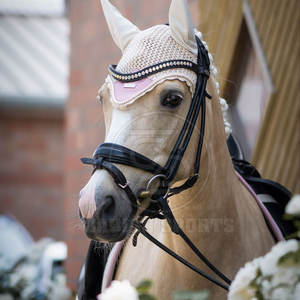 หมวกครอบหูรูปม้าหรูหราตกแต่งด้วยแผงตาข่ายสำหรับระบายอากาศ - Product Image 2