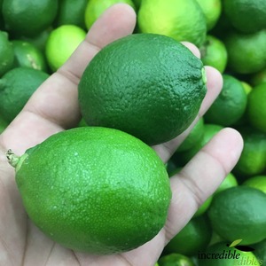 Limón verde fresco de alta calidad granja de cítricos a granel recogido para bebidas de jugo y cocinar lleno de aroma de limón verde natural - Product Image 5