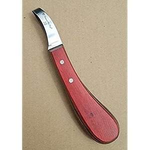 Couteau à sabot ovale tondeuse maréchal-ferrant aiguiseur soin des sabots coupe nettoyage bétail Instruments vétérinaires lame en acier inoxydable - Product Image 1