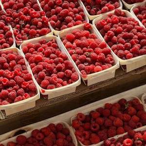 Framboises rouges fraîches de haute qualité, prix de gros - Product Image 4