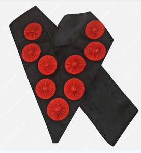 ผู้จัดจำหน่ายผ้ากันเปื้อน11TH ปริญญา aasr 2025 - Product Image 4