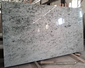 แผ่นหินแกรนิตอลาสก้าไวท์ ยี่ห้อไซโล รุ่น AW คุณภาพสูง หินพรีเมียมสำหรับปูพื้น ผนัง ท็อปครัว ตกแต่งภายใน-ดีไซน์ทันสมัย ขัดเงา - Product Image 2