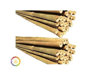 Poteaux de bambou Nature Poteaux de bambou brut Poteau droit Bambou du Vietnam - Product Image 1