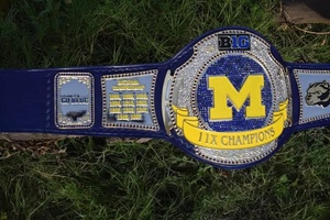 Ceinture de championnat poids lourd personnalisée durable pour la lutte et les arts martiaux Trophée de 4mm en cuir véritable souple - Product Image 3