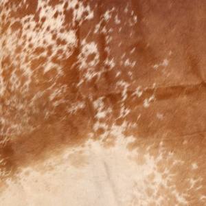 Alfombra con estampado de vaca marrón y blanca de piel de vaca auténtica 2025, alfombra lavable de piel de oveja sintética para el hogar - Product Image 2