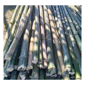 Poteaux en bambou/canne en bambou/poteau traité en bambou 100% Nature bambou du Vietnam pour la construction clôture séchée - Product Image 4
