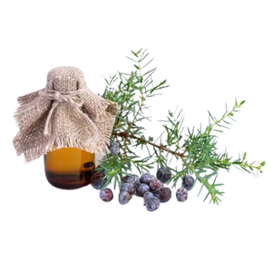 Aceite Esencial de Baya de Enebro, Extracto Natural de Fruta, Aroma Fresco, Dulce y Resinoso de Pino, para Cuidado del Cabello, Perfumería, Aromaterapia y Uso Cosmético - Product Image 4
