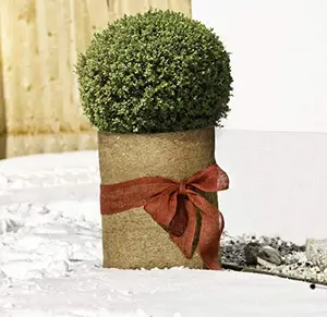 Best Item Durable For Flowerpot in winter made from Vietnam Manufacturer coir mat 2024