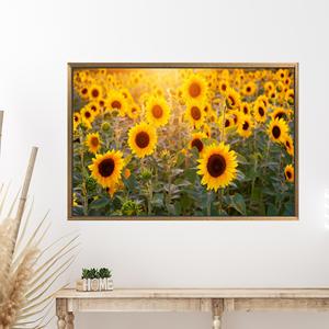 Printed Canvas Artwork: Elegant Sunflower Field for Holiday Decor,1P:Gold <b>Framed</b> - Product Image 1