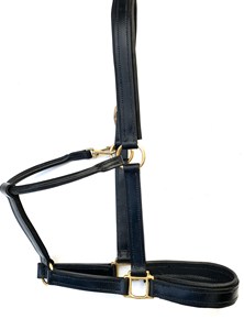 Haute Qualité Personnalisé Anglais Selle Cheval Halter Doux Rembourré En Cuir dans Différents Designs Couleurs Options De Gros Disponibles - Product Image 5