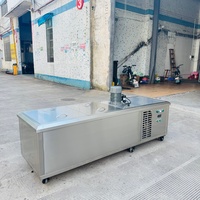 Machine à glaçons commerciale 0,3T avec production de 2 heures, compresseur de marque internationale, conception peu encombrante