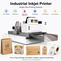 Impresora de Inyección de Tinta CMYK de Alta Velocidad, Formato de 40 cm, Portátil, para Cajas de Pizza, Tazas de Café, Bolsas de Papel, Máquina de Impresión Digital