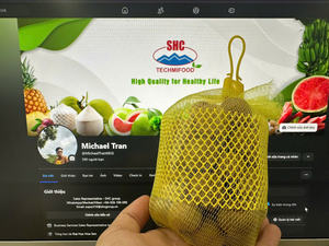 Idor longan ผลไม้มาตรฐานสำหรับส่งออกที่มีรสหวานและมีกลิ่นหอมจากเวียดนามมีอายุการเก็บรักษายาวนานบรรจุในซูเปอร์มาร์เก็ตและขายปลีก - Product Image 2